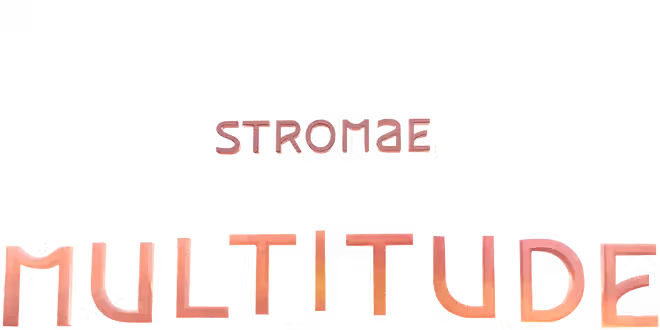Logo Concert de Stromae